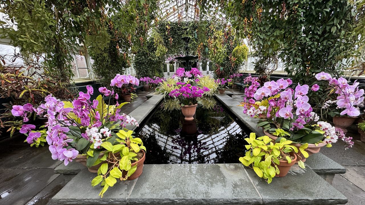 Annual show on display at NYBG