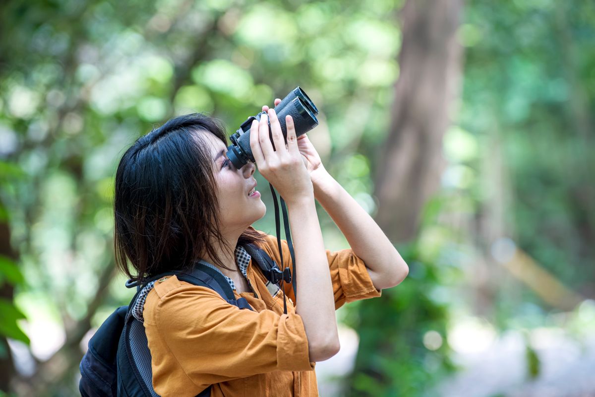 In the middle of Midtown Manhattan, crowds are forming around a small, well-camouflaged bird: the American Woodcock. 
