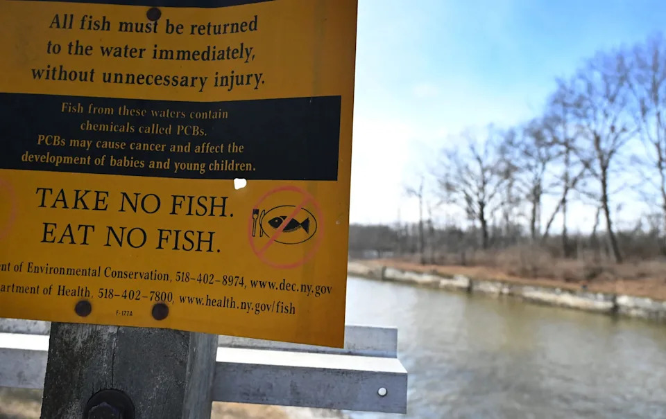 FORT EDWARD, NY - MARCH 11: A sign warning of the dangers of consuming PCB contaminated fish is posted by Hudson River at Champlain Canal Lock C6 on Wednesday, March 18, 2026, in Fort Miller, N.Y.