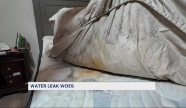 News 12 | Bronx | West Farms Woman Seeks Help Following Water Leak In Apartment