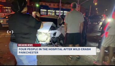 News 12 | Bronx | 4 People Hospitalized Following Car Crash In Parkchester