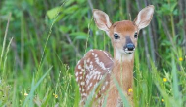 Yahoo lifestyle home