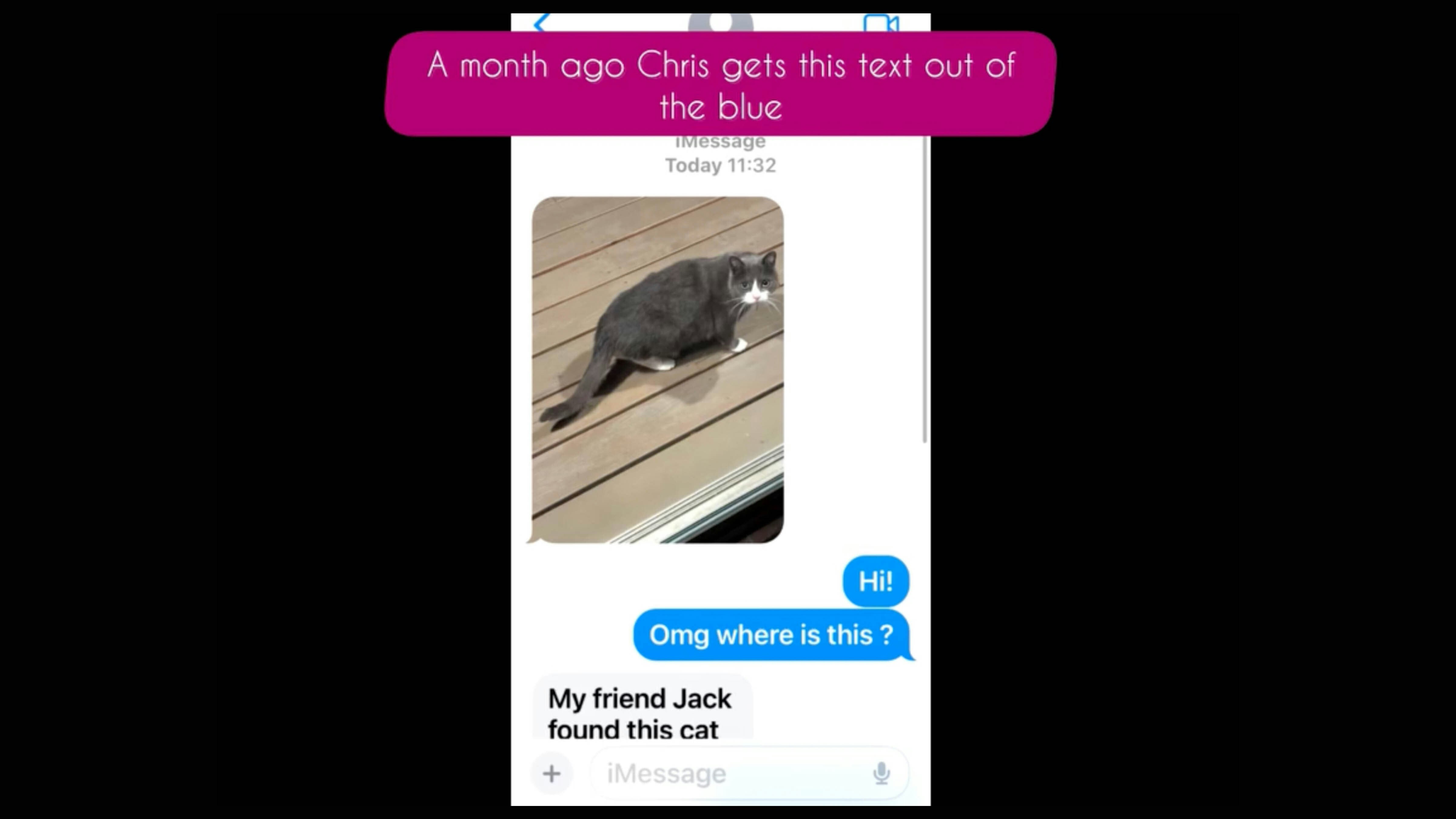 Then in March, the family got a text from an unknown Wyoming number.  “It was a picture of a cat, and they asked if we knew this cat because it’s wearing a collar with our number on it,” Rosales said. “I just didn't believe it when I saw the picture. It was Lily.”