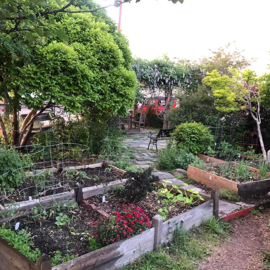 Volunteers at the garden said the kids are a “liability” and damage crop beds. Urban Meadow Community Garden/Facebook