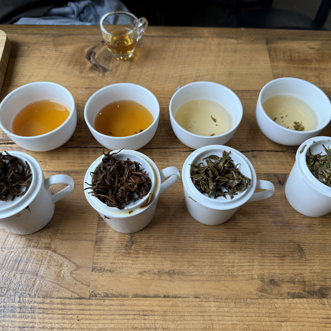 tea tasting at the collective brew in jersey city