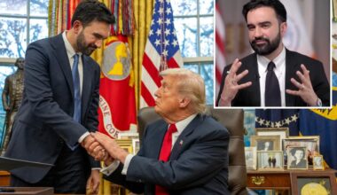 Zohran Mamdani goes scorched earth on Dems' lack of 'vision,' but praises 'productive' bromance with Trump