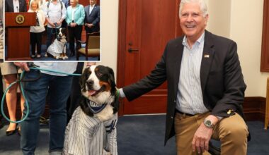 Blakeman signs law to limit dog tethering -- and bad NY pet owners could face jail