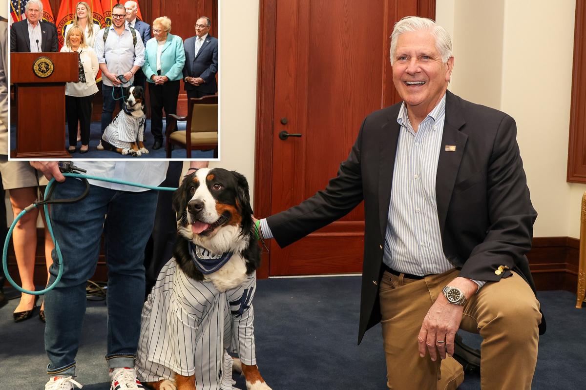 Blakeman signs law to limit dog tethering -- and bad NY pet owners could face jail
