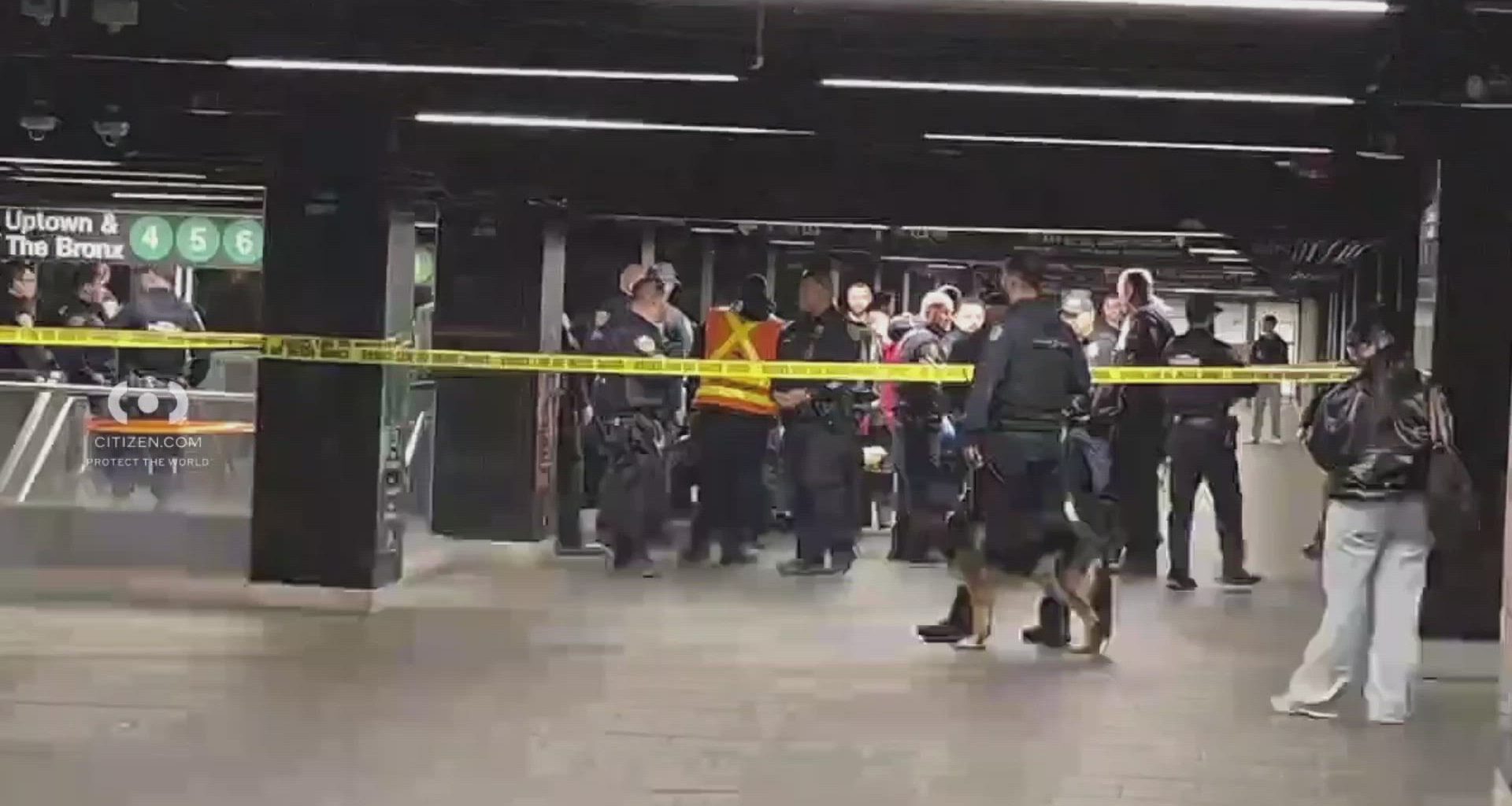 News 12 | Bronx | Police Shoot Suspect In Grand Central Station Stabbing Spree