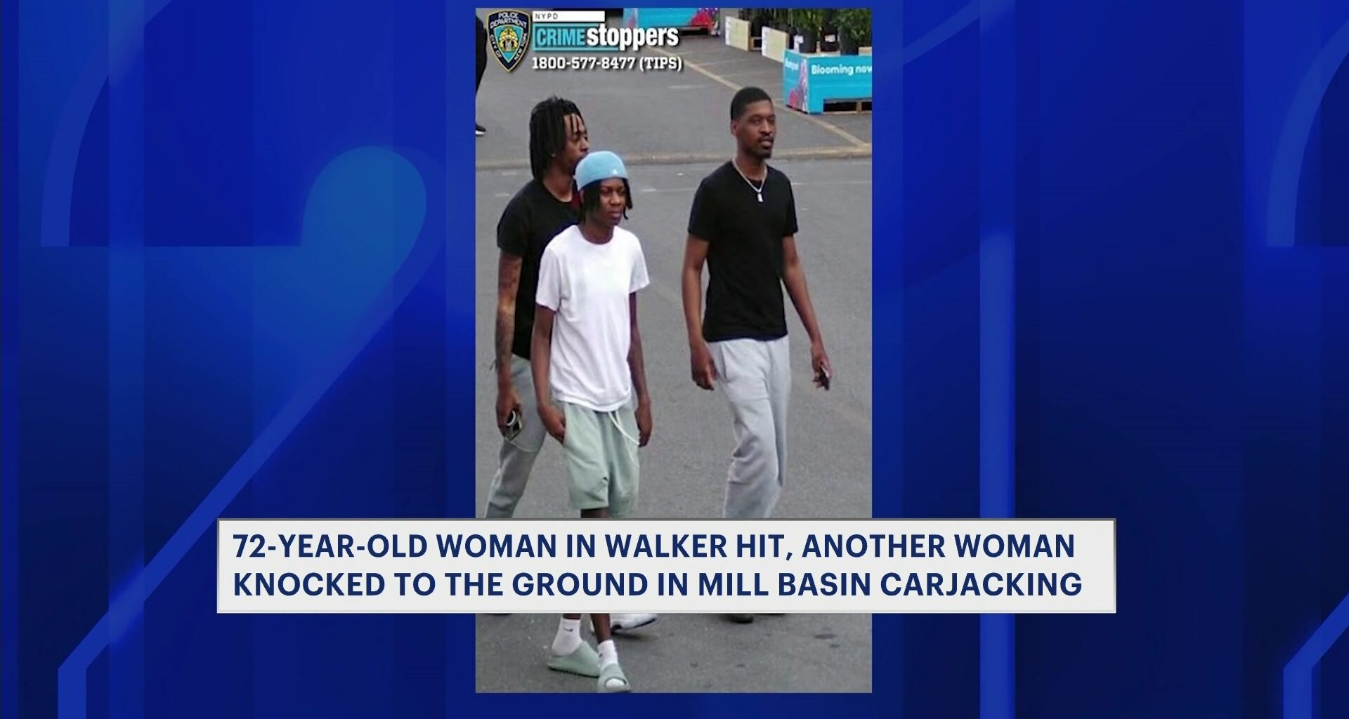 News 12 | Brooklyn | Carjacking Chaos Unfolds In Mill Basin 72 Year Old Woman In Walker Struck Another Knocked To The Ground