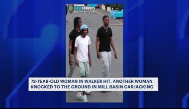 News 12 | Brooklyn | Carjacking Chaos Unfolds In Mill Basin 72 Year Old Woman In Walker Struck Another Knocked To The Ground