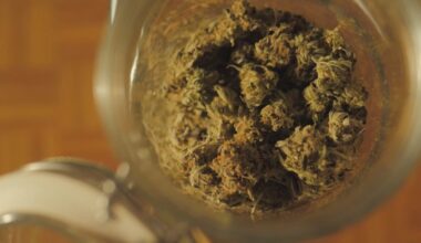 641 legal cannabis dispensaries are now operating in New York State