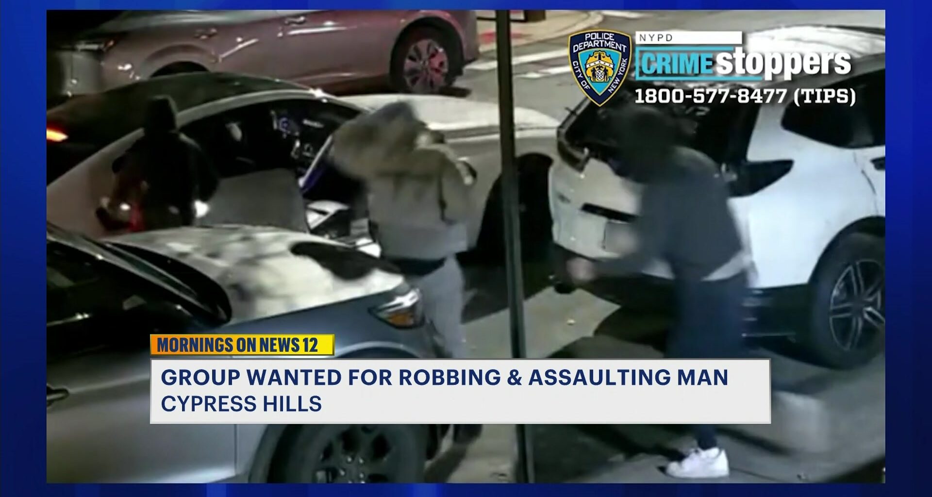 News 12 | Brooklyn | Man Beaten Pistolwhipped In Brutal Cypress Hills Robbery