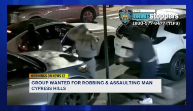 News 12 | Brooklyn | Man Beaten Pistolwhipped In Brutal Cypress Hills Robbery