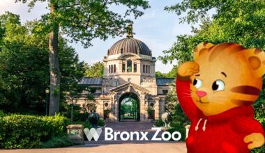 All Aboard: Daniel Tiger's Neighborhood Heads to Bronx Zoo