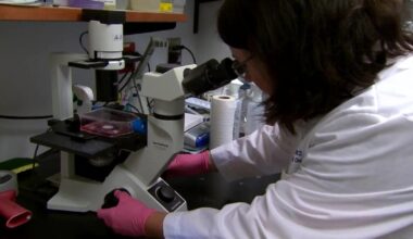 New York budget proposal threatens to roll back biomarker testing coverage, health care advocates say