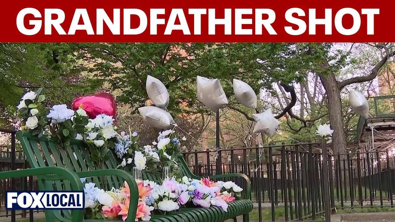 Bronx grandfather hit and killed by stray bullet