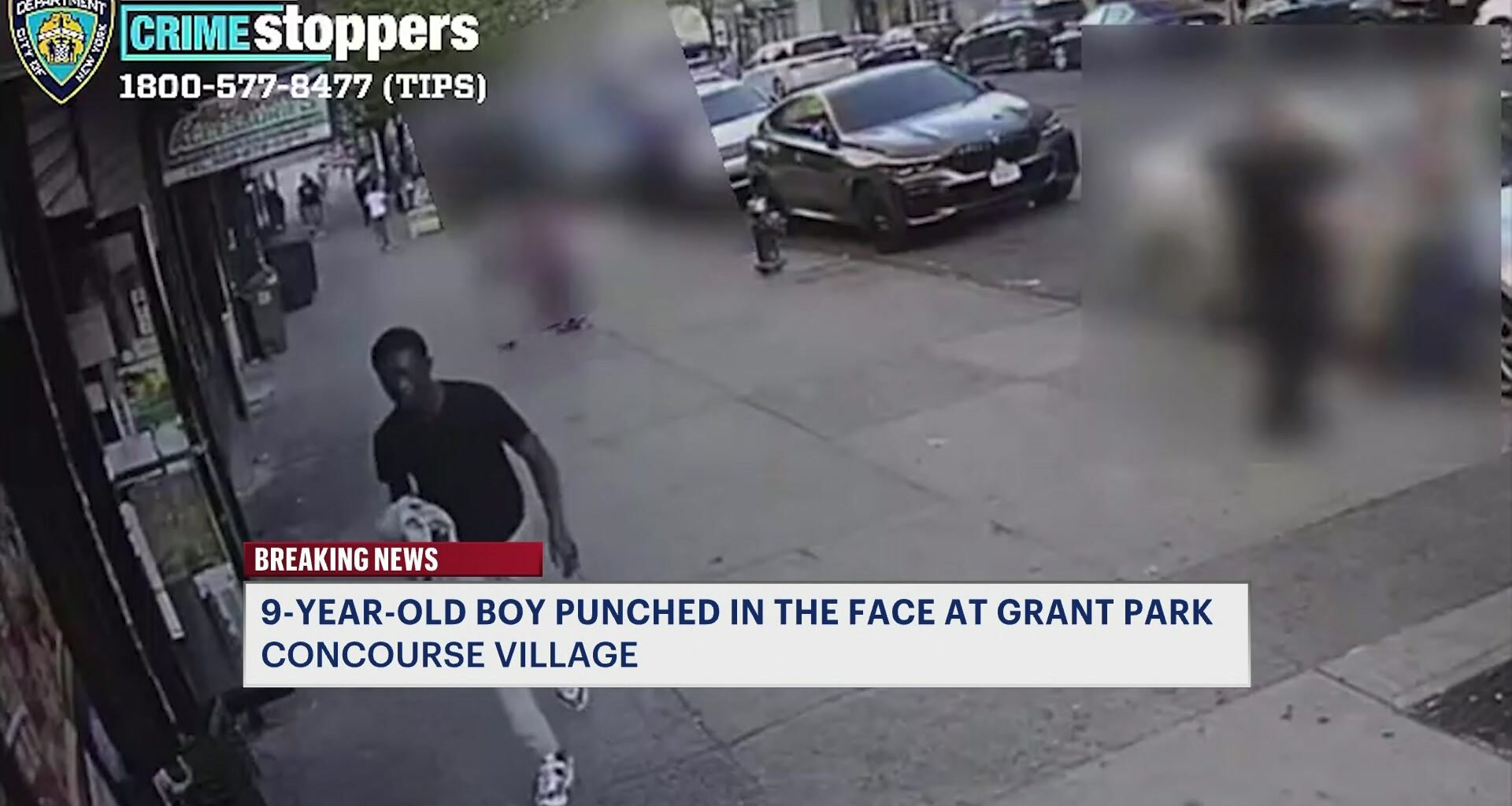 News 12 | Bronx | 9 Year Old Boy Punched Inside Grant Park Suspect On The Run