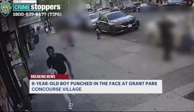 News 12 | Bronx | 9 Year Old Boy Punched Inside Grant Park Suspect On The Run