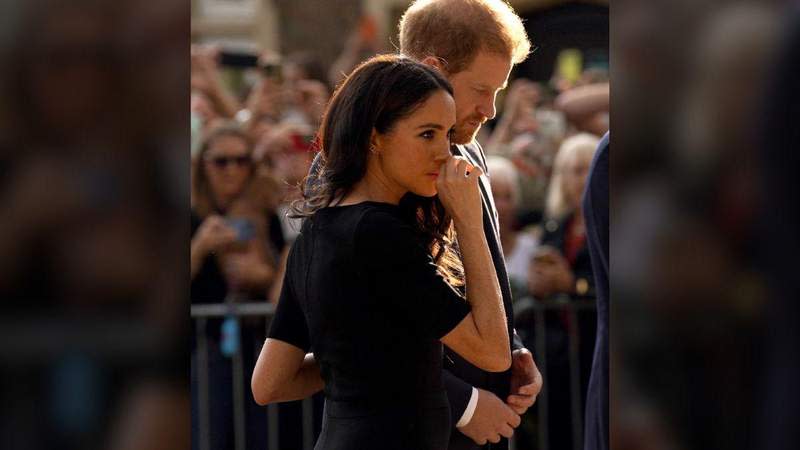 Meghan Markle 'wanted to be there for a photo opportunity,' author Tom Bower claimed.MEGA