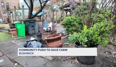 News 12 | Brooklyn | Neighbors, local officials rally to save Bushwick City Farm from closure