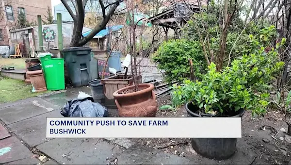 News 12 | Brooklyn | Neighbors, local officials rally to save Bushwick City Farm from closure