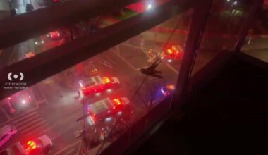 3 EMS workers stabbed in the Bronx, 1 person in custody