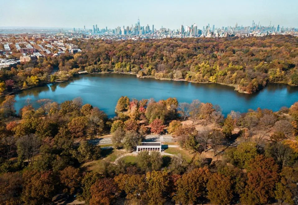 aerial view of Prospect Park, Brooklyn