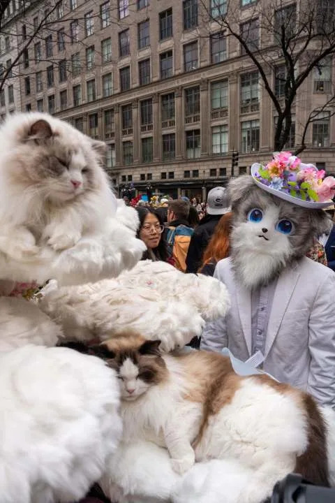 Stanley and his cats Picco and Dale take part in the Easter Bonnet Parade on Fifth Avenue, Sunday, April 5, 2026, in New York. (AP Photo/Adam Gray)