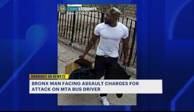 News 12 | Bronx | Bronx Man Accused Of Punching An Mta Bus Operator