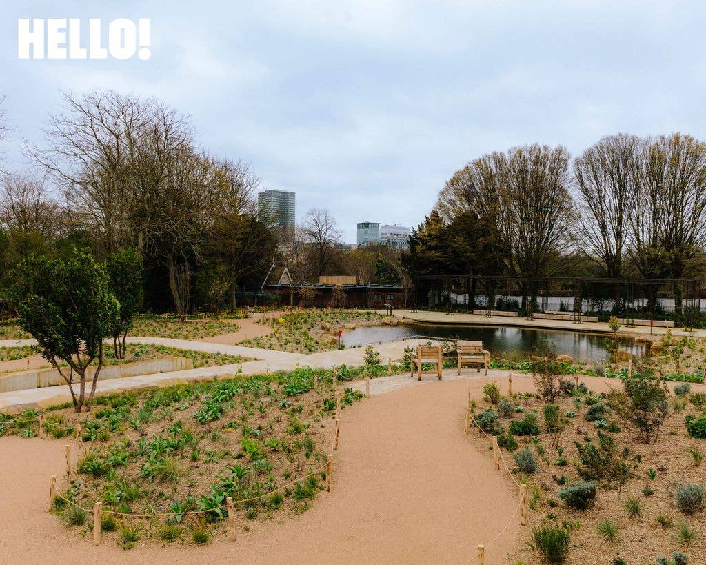 The new space is taking shape 