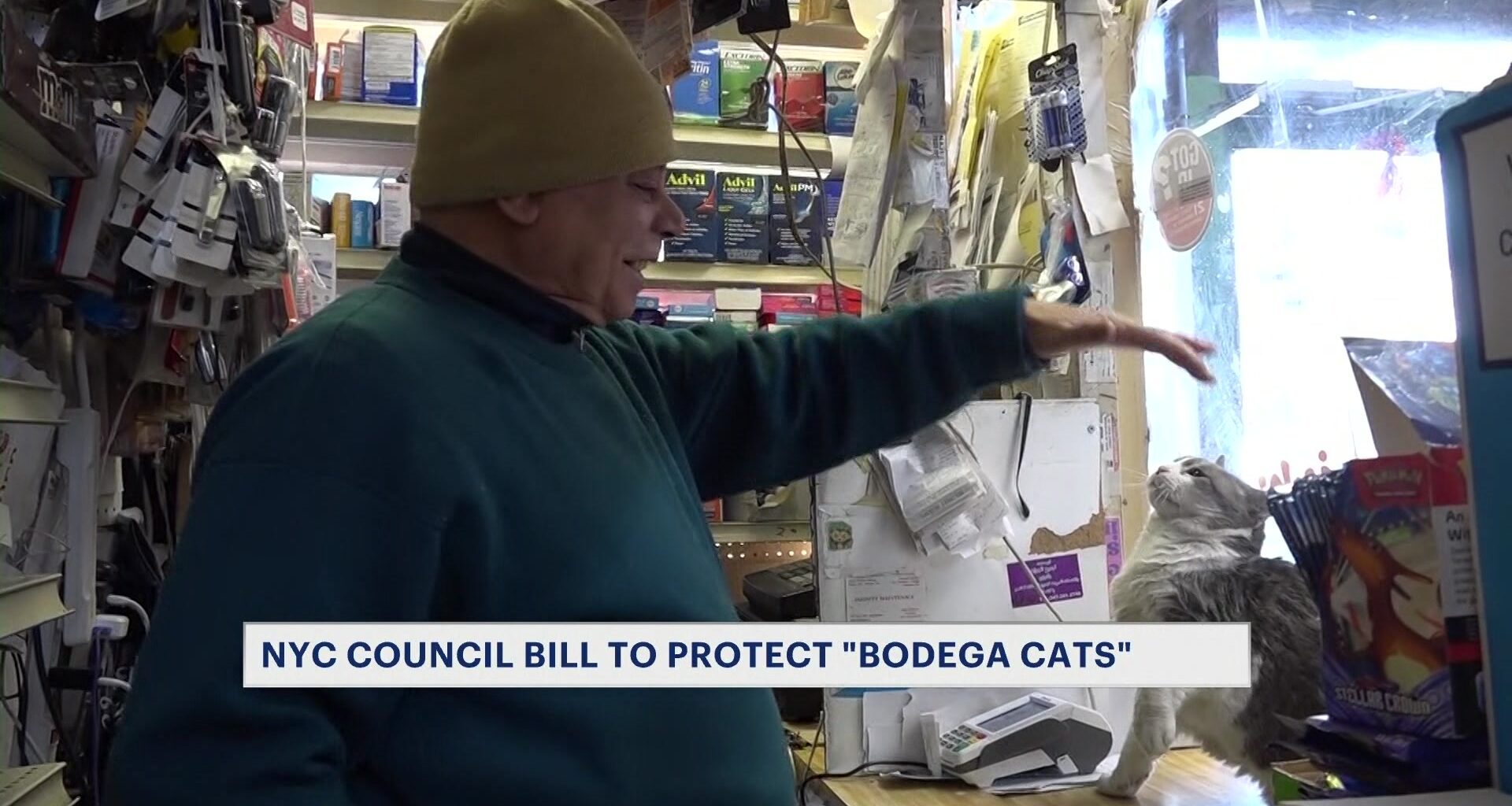 Screenshot 2026-04-16 091611