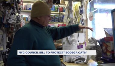 Screenshot 2026-04-16 091611