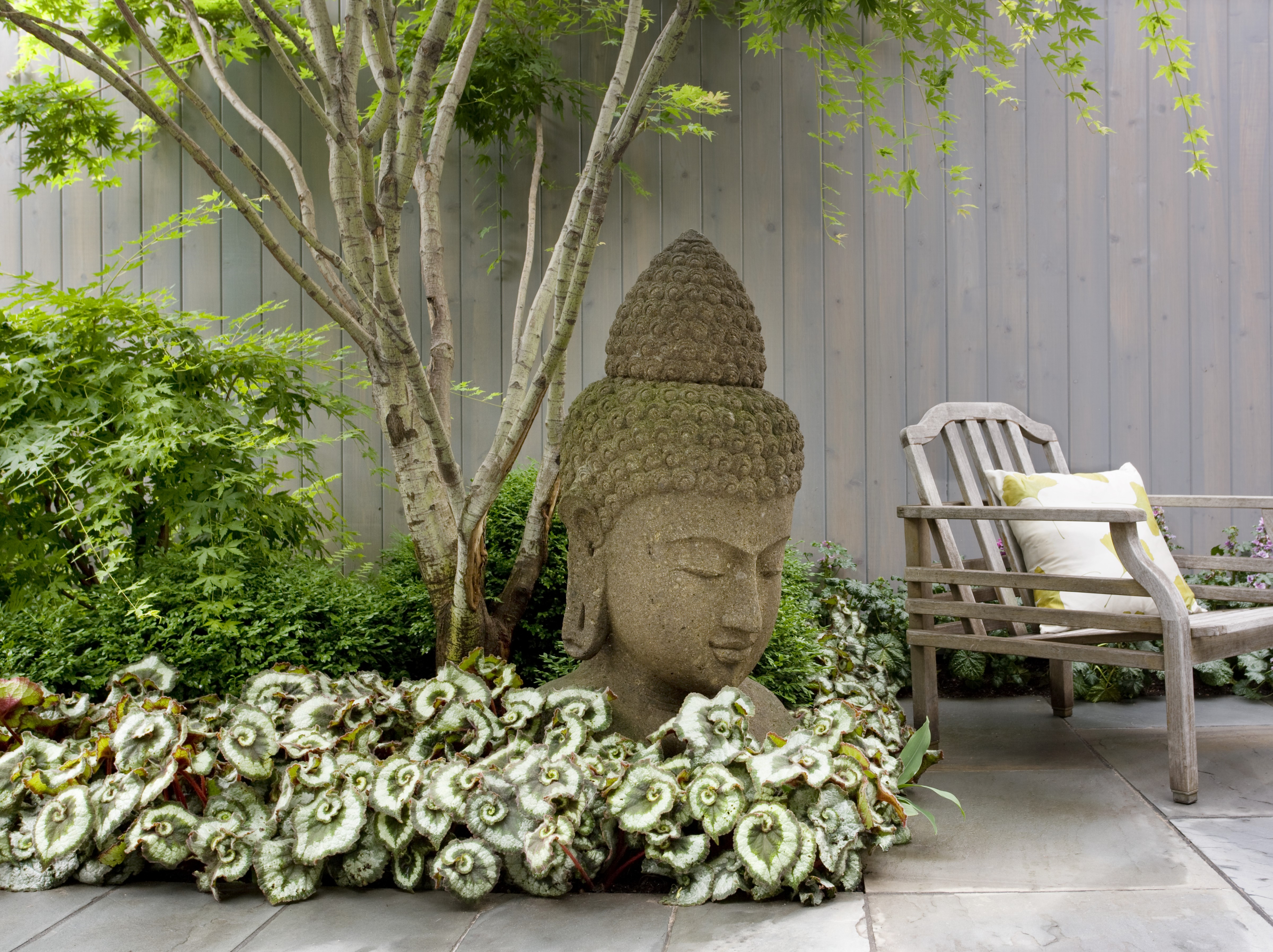 BUDDHA HEAD HIGHLIGHTING BEGONIAS