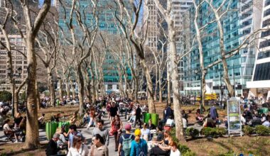 NYC Parks issues order giving them ability to block certain gatherings this summer