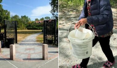 You won't believe what scofflaws do to Powell's Cove Park