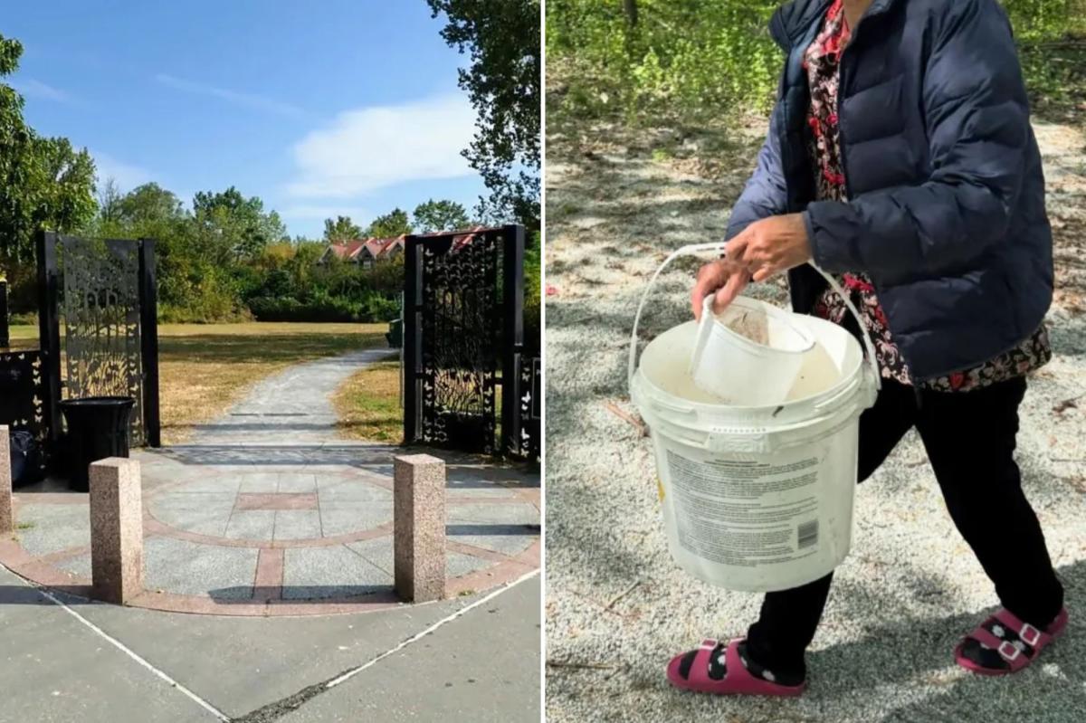 You won't believe what scofflaws do to Powell's Cove Park