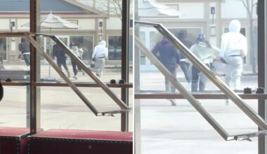 4 thieves steal Gucci handbags worth $30K in daylight smash-and-grab at Woodbury Commons in NY