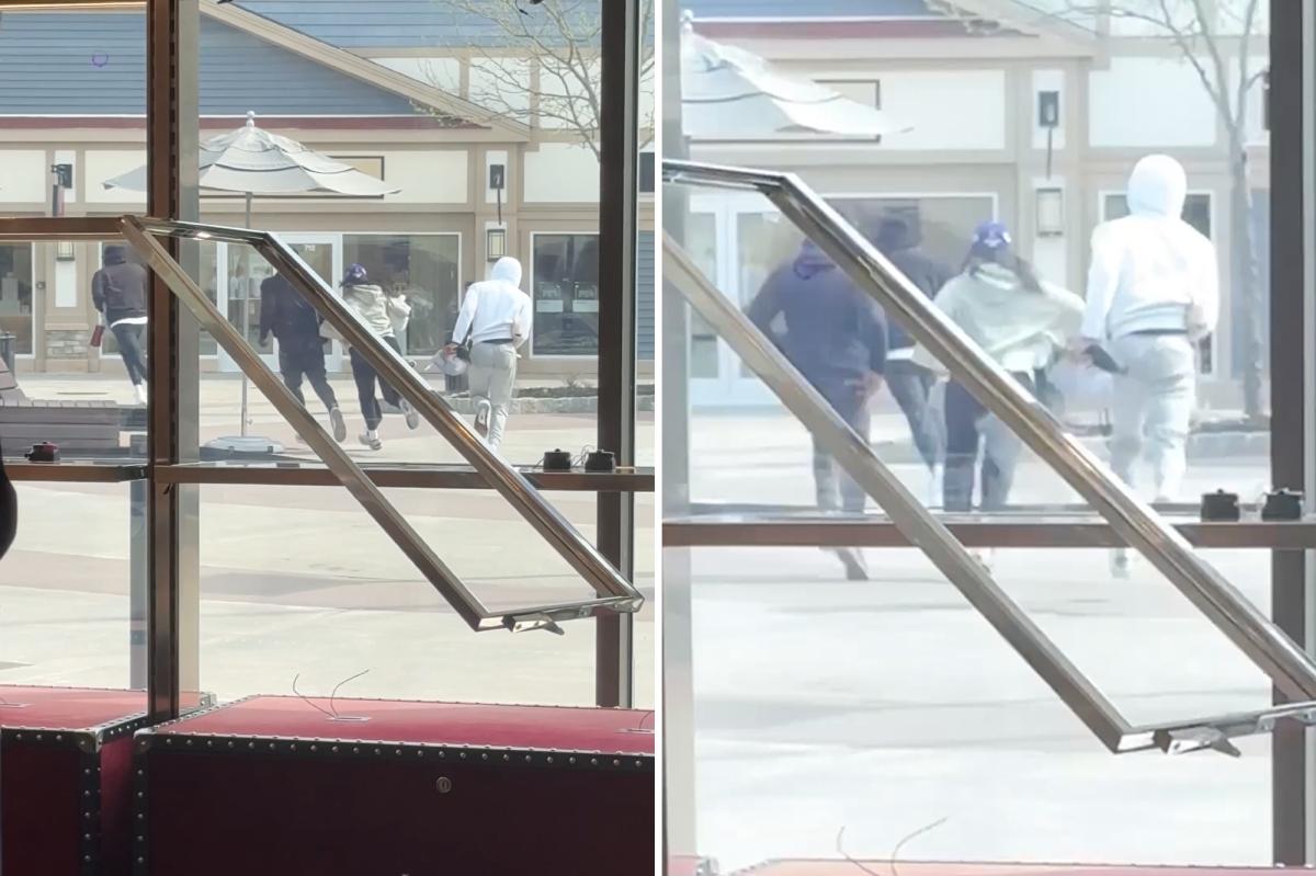 4 thieves steal Gucci handbags worth $30K in daylight smash-and-grab at Woodbury Commons in NY