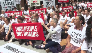 Scores Arrested at Jewish-Led Protest Demanding New York Senators Vote Against Arms to Israel
