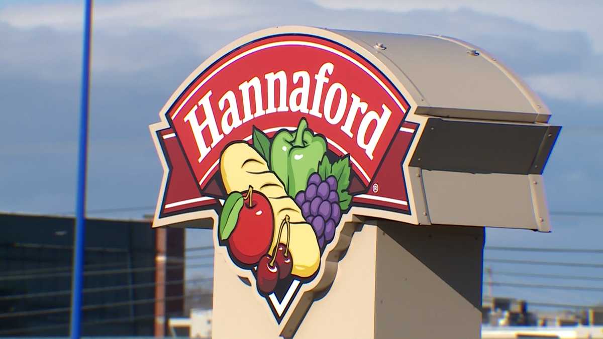 NY man charged with fraud after obtaining $167,000 worth of Hannaford groceries