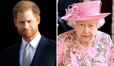Prince Harry & Queen Elizabeth's Relationship Before Her Death