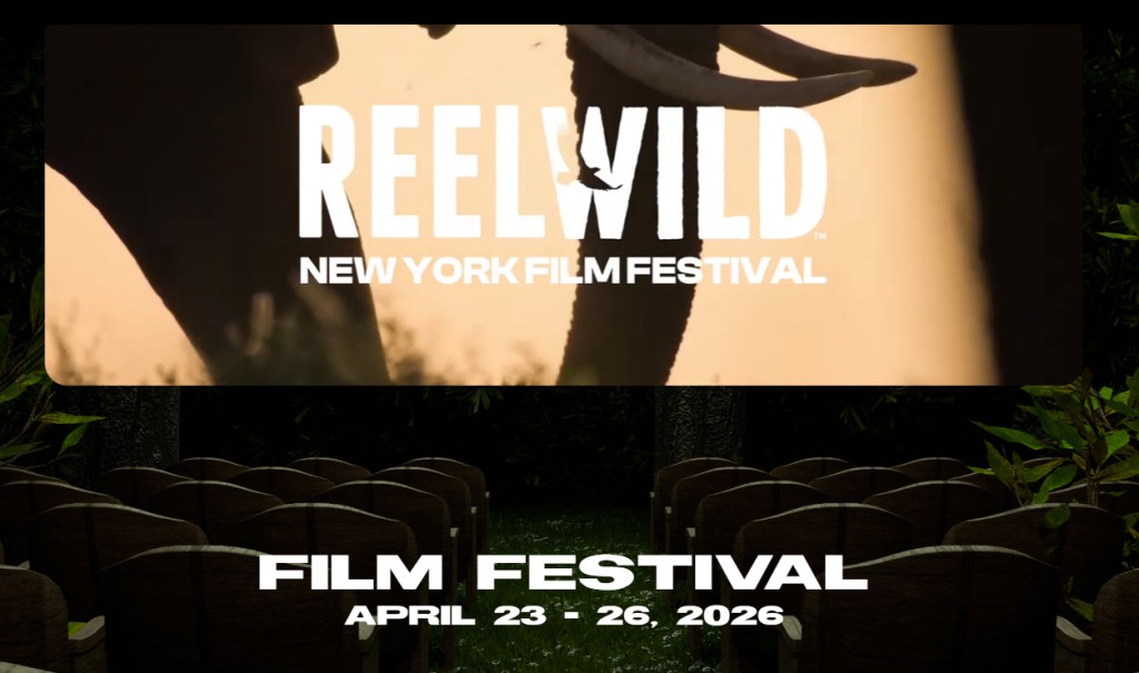 Screening nature to fight for it