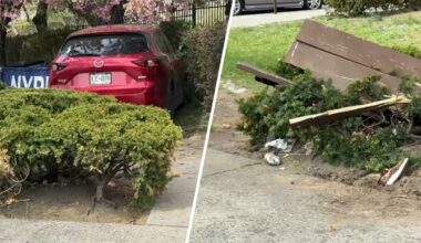 Woman killed, man hurt after car hops curb and hits bench in Bronx – NBC New York