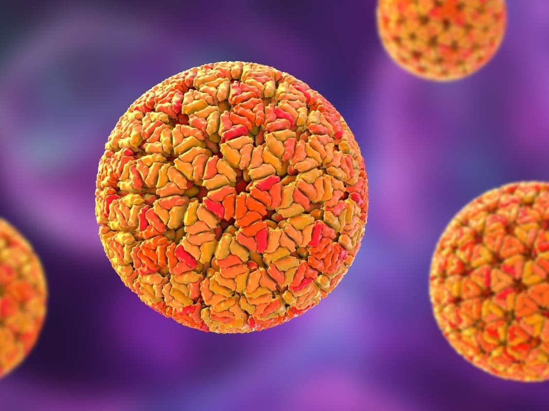 Highly Contagious Stomach Virus Surging In NY As Vaccination Rates Decline