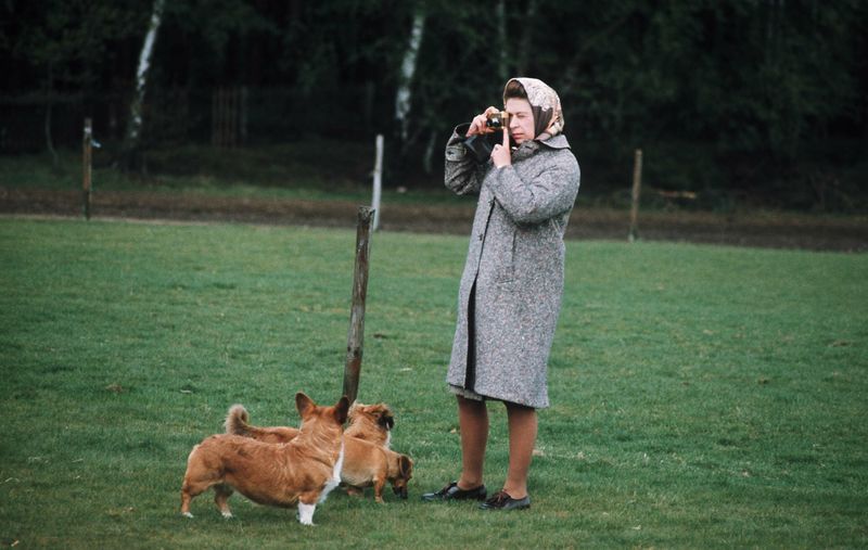 Queen Elizabeth taking a photo with three of her dogs nearby