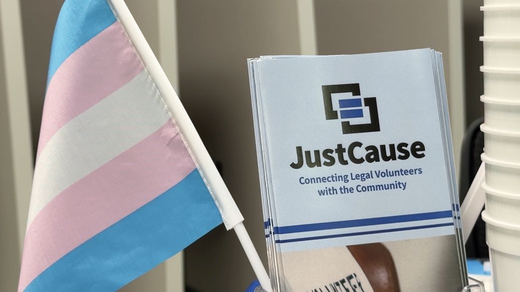 International Transgender Day of Visibility