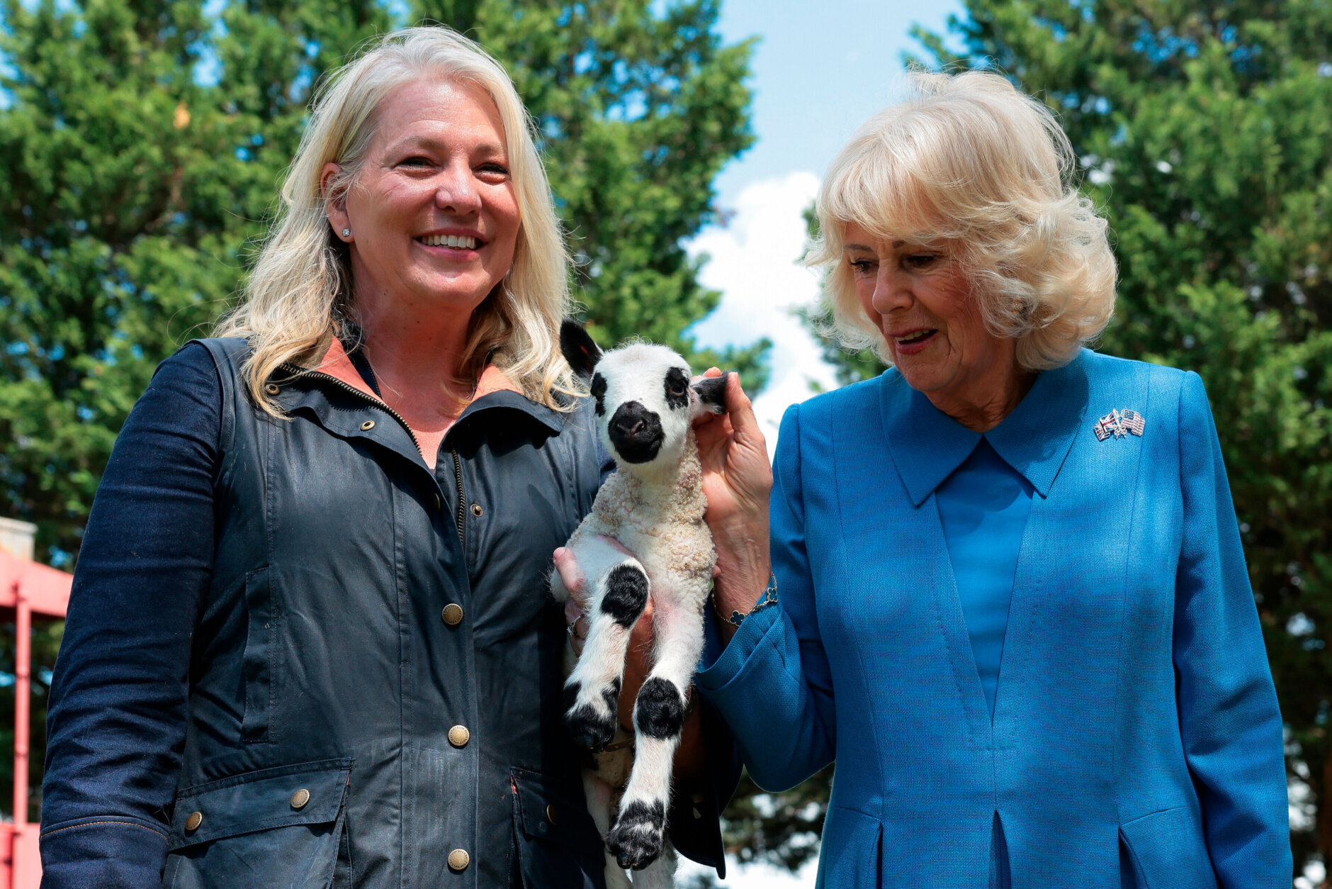 Britain's Queen Camilla pets a lamb as she poses with a community member during a block party in Front Royal, Va., Thursday, April 30, 2026. (Kylie Cooper/Pool Photo via AP)