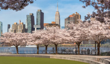 5 New York City Patio Bars With Affordable Happy Hours For Springtime Evenings