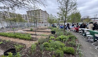 LaGuardia Community College farm grows food